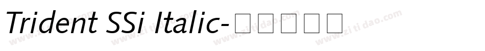 Trident SSi Italic字体转换